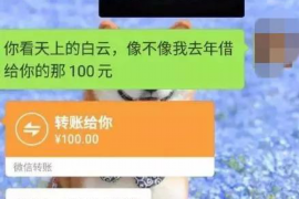 中阳企业清欠服务